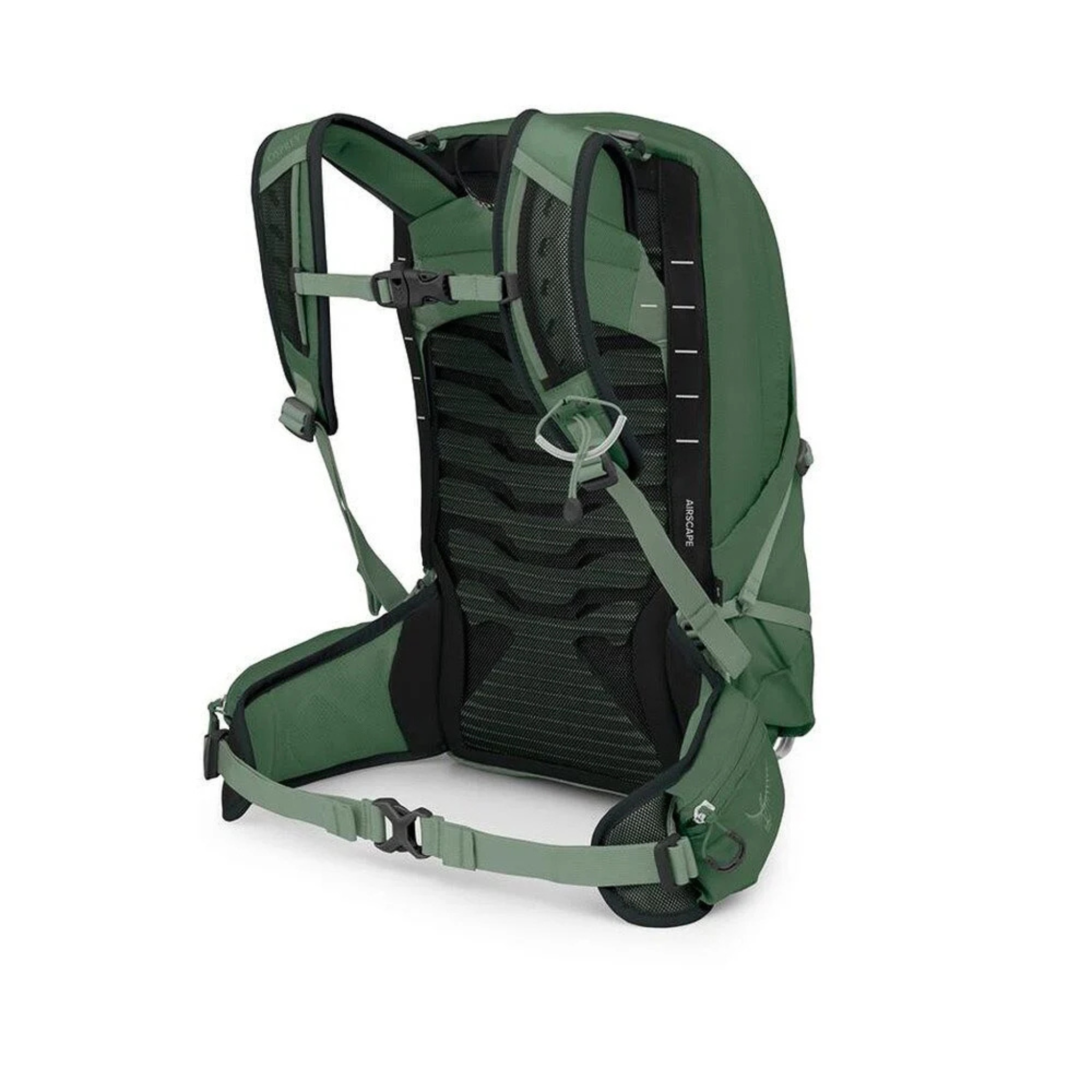 MOCHILA TALON 11 GREEN CANOPY OSPREY 2