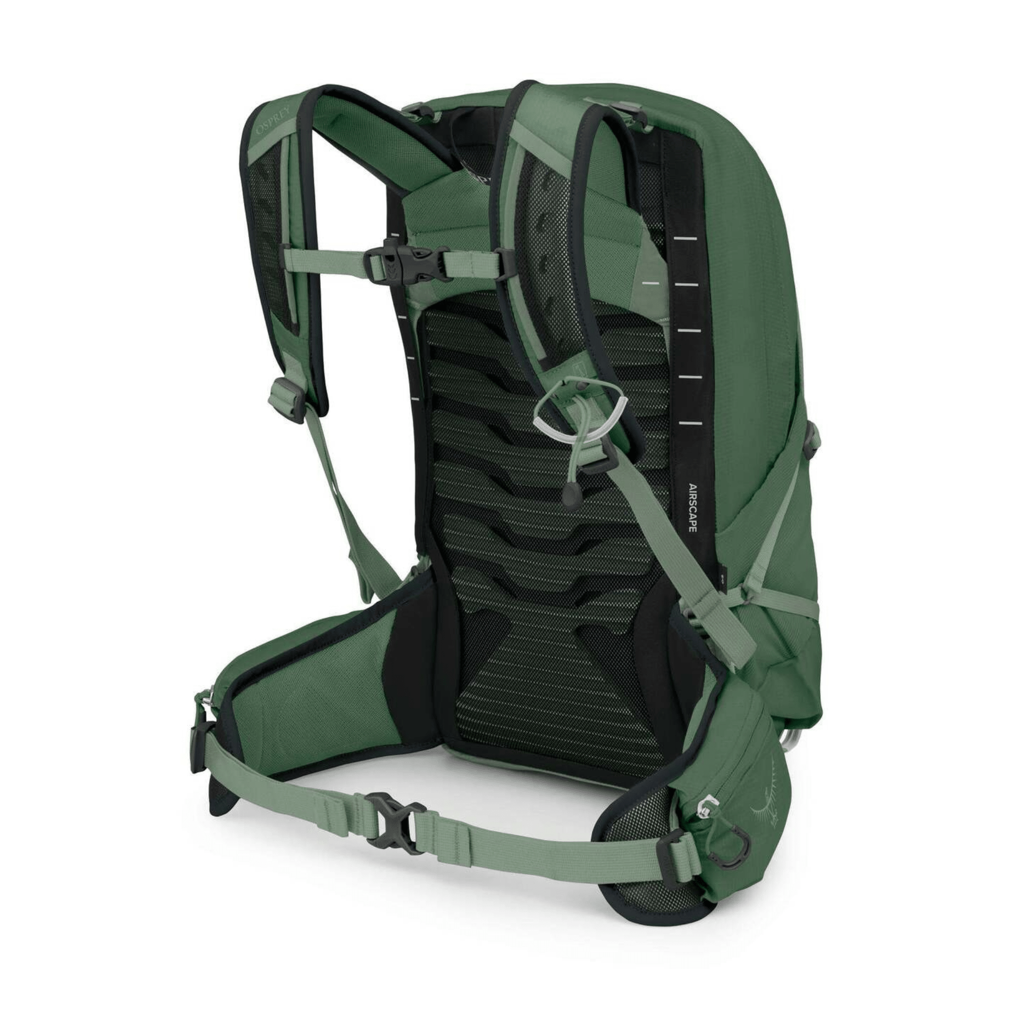 MOCHILA TALON 11 Green Canopy de OSPREY - Kilómetros Positivos